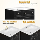 24-Inch Bathroom Vanity Cabinet with Ceramic Sink, 2 Drawers, 1 Door WF532034AAB