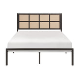 1pc Queen Platform Bed, Metal Frame Dark Bronze Finish Faux Cane Panel Headboard Casual Coastal B011P214030