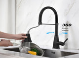 Kitchen Faucet with Pull Down Sprayer 02077531