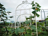 2 Pack Metal Garden Trellis 86.7" x 19.7" Rustproof Trellis for Climbing Plants Outdoor Flower 30907319