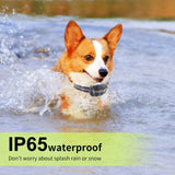 GPS Wireless Dog Fence Pet Containment System Waterproof Training Collars 61772158