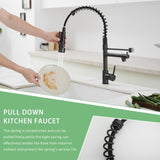 Commercial Kitchen Faucet with Pull Down Sprayer, Single Handle Single Lever Kitchen Sink Faucet W1932P155917
