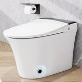 Heated Seat Smart Toilet, One Piece Toilet, Automatic Flush Tankless Toilet without Bidet, with Foot N753P213733G