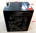 ZUN 12V4.5Ah Battery for Kids Ride on car, Valve Regulated Lead-Acid Rechargeable Battery,Rechargeable W1760P242536