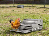 Large Capacity Treadle Poultry Feeder, Feed Chicken Feeder with Lid & Lock, Outdoor Coop Food 38019109