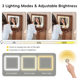 Vanity Desk with Mirror and Lights, Makeup Vanity Table with Flip-Top Tabletop and Storage 7 N733P279096H