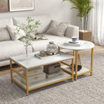 ZUN Set of 2 Coffee Tables （Prohibited by WalMart） 15825021