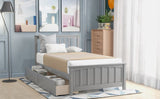 Twin size Platform Bed with Two Drawers, Gray WF195105AAE