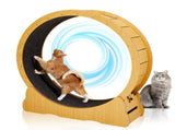 Cat Wheel Exerciser for Indoor Cats, 43.3-inch Large Cat Exercise Wheel for Running Silent, Cat 07677177