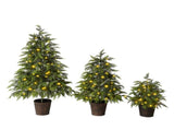 2FT, 3FT, 4FT, 3-Piece Pre-Lit Christmas Tree Set with Warm Glowing Lights, Sturdy Potted Base, and N710P523032F