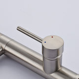 Kitchen Faucet with Pull Down Sprayer Brushed Nickel Stainless Steel Single Handle Kitchen Sink W1932124165