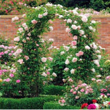 7'8" H x 4'5" W Metal Garden Arch Trellis,Adjustable Arbor Trellis for Garden Climbing Plants 55496277
