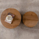 Nesting Coffee Table Set of 2 Round Wooden Coffee Tables Circle Modern Table for Small Space Living W3081P255152