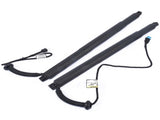 Pair Rear Electric Tailgate 7434044 7434043 for BMW X6 M F86 sDrive35i F16 2017 16619142