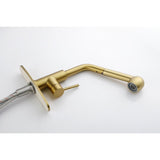 Single Handle Kitchen Sink Faucet with Pull Out Sprayer W2287P154031