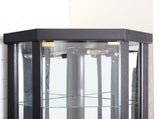 Lighted Corner Curio Cabinet - Elegant Glass Display Case Living Room & Bar Storage - Perfect W1758P300102