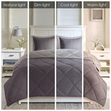 King 3M Scotchgard Diamond Quilting Reversible Down Alternative Comforter Set B03598993