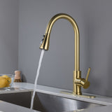 Single Handle Stainless Steel Kitchen Sink Faucet with Pull Down Sprayer W2287P354628