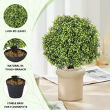 ZUN Green Grass Potted for Home Bathroom Office Desk Decor Wholesale Artificial Plants Plastic Plants W2945P220549