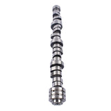 Camshaft Replacement for 2012-2022 6.4L Hemi Chrysler 300 Dodge Challenger Charger Jeep OHV 19953130