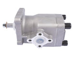 Hydraulic Pump Replacement for Kubota L175 L185 L225 L245 L295 L2000 L2201 35110-76100 34150-36100 42455147