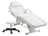 Massage Salon Tattoo Chair with Two Trays Esthetician Bed with Hydraulic Stool,Multi-Purpose W1422132171