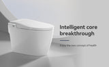 Smart Toilets with Heated Bidet Seat.Portable toilet with bidet built.Intelligent Toilet Auto W3133P280850