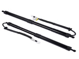 2X Rear Tailgate Power Lift Support Strut Replacement for Lexus RX350 RX350L RX450hL 2018-22 78107031