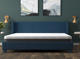 Omne Fria 8 Inch Queen Firm Mattress With Cooling Cover B047P316873