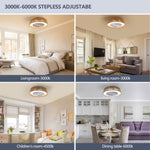 ZUN (Same as W1340137055/L10003) Bohemian style LED Dimmable Ceiling Light With Built-In Fan - Remote W1340P209774