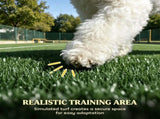 Dog Potty Tray 27343270