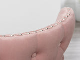 Lindale Contemporary Velvet Upholstered Nailhead Trim Accent Chair, Pink T2574P164506