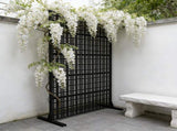 Metal Screens 72" H x 43.3" W Outdoor and Indoor Divider with Freestanding Decorative W1586P455078