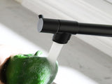 Commercial Kitchen Faucet Pull Down Sprayer Black and Nickel,Single Handle Kitchen Sink Faucet W1932P172303