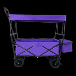 ZUN Outdoor Garden Park Utility kids wagon portable beach trolley cart camping foldable folding wagon W321115010