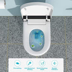 ZUN Smart Toilet with Bidet Built in, Auto Open & Close, Elongated Heated seat, Foot Sensor Flush, LED W1243P203328