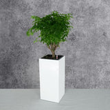 ZUN 11" Composite Self-watering Square Planter Box - High - White B046P144678