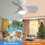 23 Inch Indoor Ceiling Fan With 3 Color Dimmable 3 ABS Blades Remote Control Reversible DC Motor W934P264724