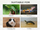 Wooden Reptile Terrarium with 3 Viewing Windows & Slide-Out Tray for Easy Cleaning 46409054