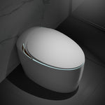 ZUN Unique Smart Toilet with Bidet Built In, Intelligent One Piece Toilet For Modern Bathroom, Auto W2826P230233