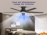 52 inch Ceiling Fans with Lights, Large Air Volume Ceiling Fans with Reversible Quiet DC Motor and 00384247