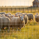 5x164 ft Advanced Weave Farm Enclosures Long-Lasting and Secure Galvanized Farm Fence W2505P298694
