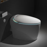 ZUN Unique Smart Toilet with Bidet Built In, Intelligent One Piece Toilet For Modern Bathroom, Auto W2826P230233