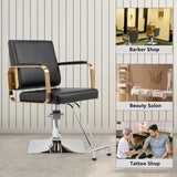 Salon Chair Styling Barber Chair, Beauty Salon Spa Equipment with Heavy Duty Hydraulic Pump, 91614347