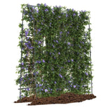 71" x 71" Garden Arched Trellis 23961450