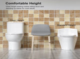 One Piece Toilet with Comfort Chair Seat ADA Height 17", Powerful Dual Flush Modern Toilet, 1.1/1.6 W3192P279683