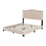 Queen Size Upholstered Bed Frame with Rivet Design, Modern Velvet Platform Bed with Tufted WF316750AAA