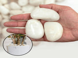 38 lbs White River Rocks, 2-3 inch Polished Pebbles - Decorative White Stones for Indoor/Outdoor 34535214
