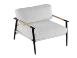 27.56" Modern Accent Chair with Plush Cushions, Minimalist Metal Frame, and Wooden Armrest Design N767P215306B