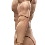1/6 Scale BD003 Muscular Male Action Figure Body fit for Soldier Head 07542677